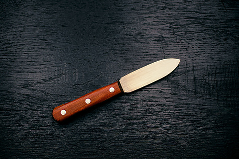 Kittmesser mit Spitzklinge