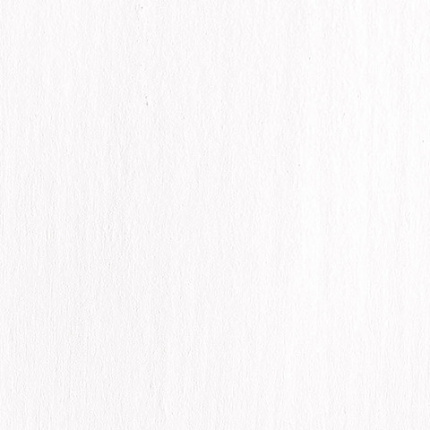 Grundierung für Tempera- und Kalkfarben (für den Innenbereich) von Spring Color