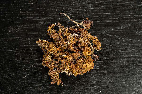 Carrageenmoos